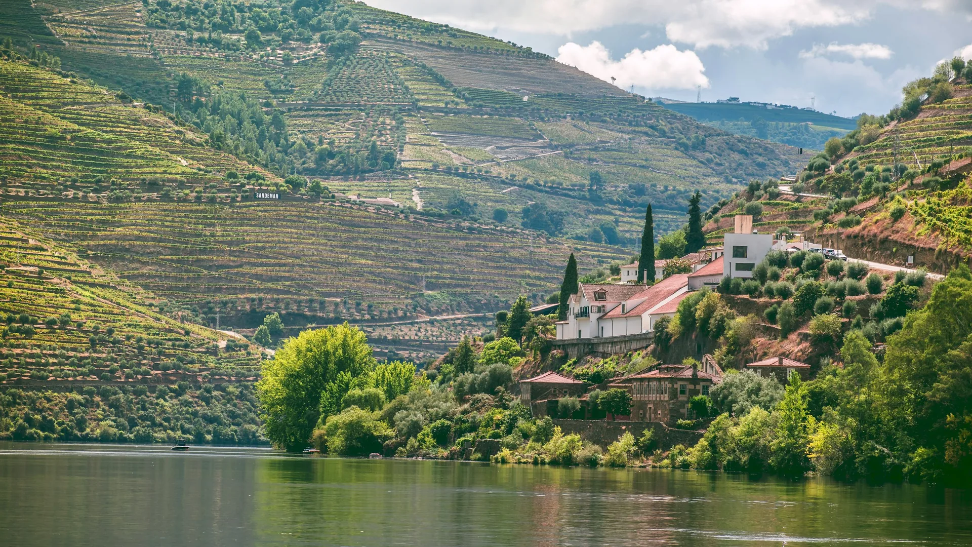 Terraced vineyards falling to the Douro river in the wine country of northern Portugal